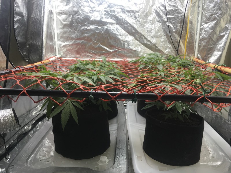 1843F313-898B-4D56-995A-38B798F9B9C4