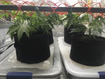 9FD55BD1-D518-4403-829D-EEA74B1E76E8