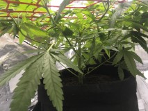 0AE717EC-0A0A-4A0F-97F7-EF94EF09031E