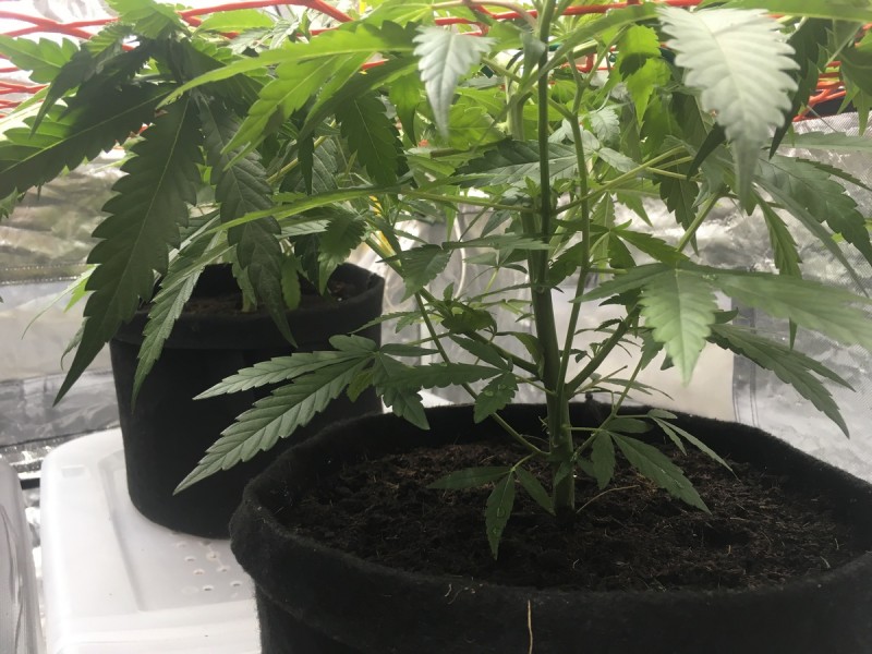 BA8DBC69-991A-4721-9FA3-9B1CC97B91A4