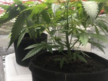 BA8DBC69-991A-4721-9FA3-9B1CC97B91A4