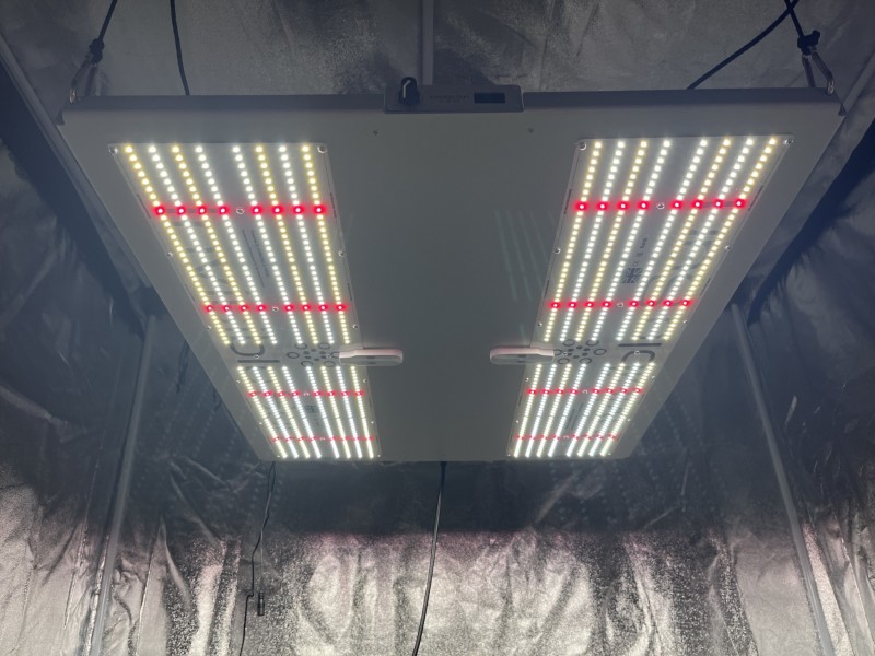 Photo 14-02-2024, 19 46 26