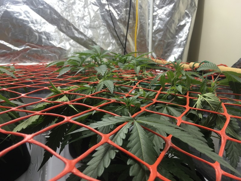 7253E086-2112-421A-8543-C5140B0BEEA6