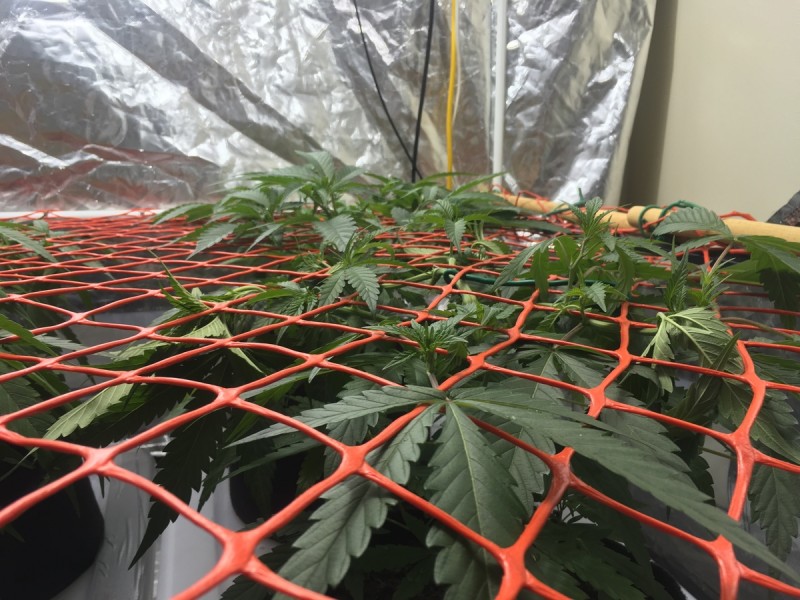 8D60FAFA-E82C-472D-94F8-B1D10657DA22