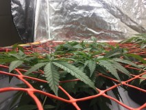 B03159B1-EB51-4324-939F-CD392C06A34D