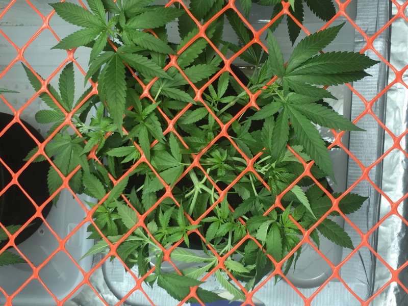 A6977F7F-E0D2-4F38-B07A-01F8C296BAE7