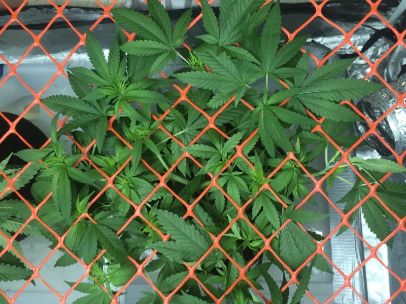 47E560A0-5844-48E9-BABB-3C00AABE833D