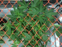 47E560A0-5844-48E9-BABB-3C00AABE833D