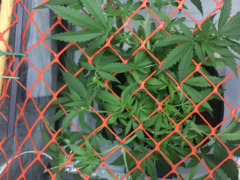 FAF22250-C86F-431E-97AF-64E029BD280F