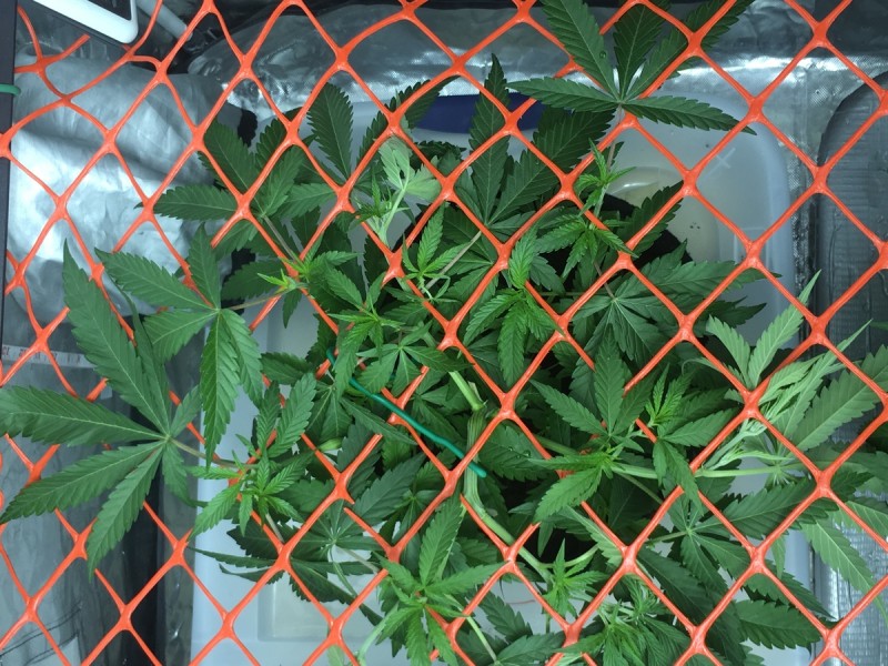 149578AB-D827-4B72-B276-0FA2A611E949