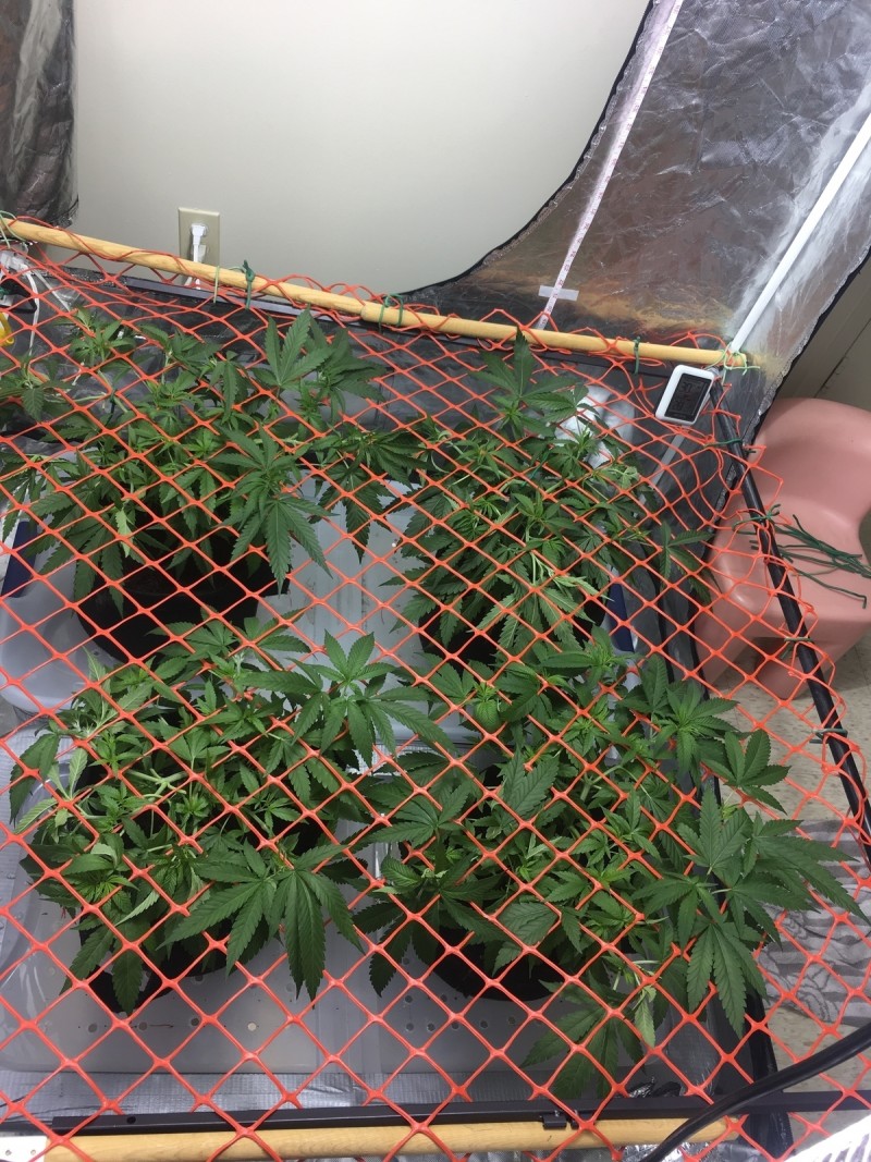 D805AFEF-4A15-4EFC-9C89-798280AB8C1E