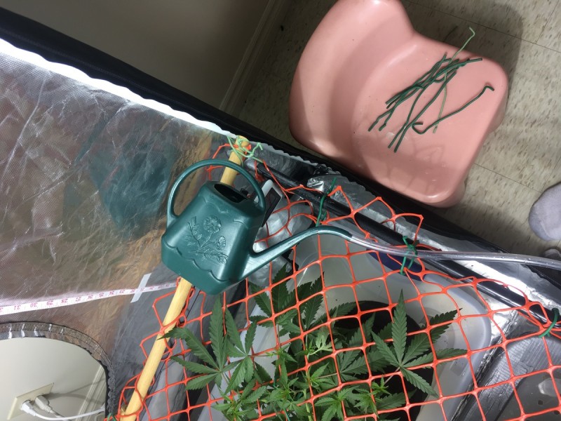 BEABC754-7092-4180-9525-8910F89ABAAD