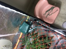 BEABC754-7092-4180-9525-8910F89ABAAD