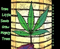 B789DB65-B018-47A4-880D-0241381DC5E8