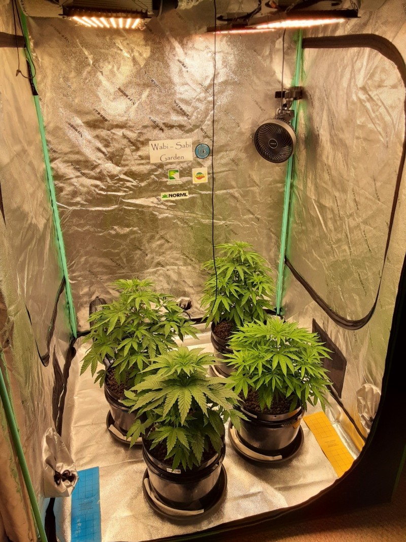 20240528_070020 - Copy