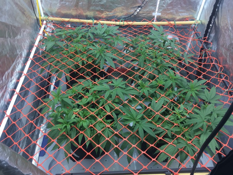 DC6DA56D-353A-431B-B420-A44C73F31CAD