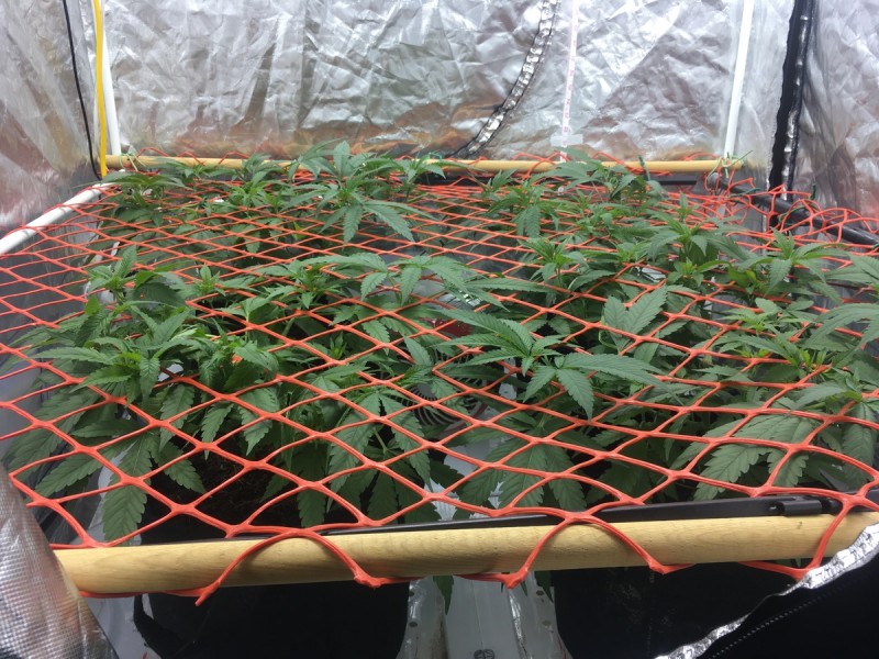 BCCE61F1-8128-4ED9-A4E3-9D58ACA9C095