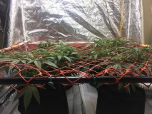 8BD7BC60-CDFB-4E9F-9F4C-DAF9EAD1A13B