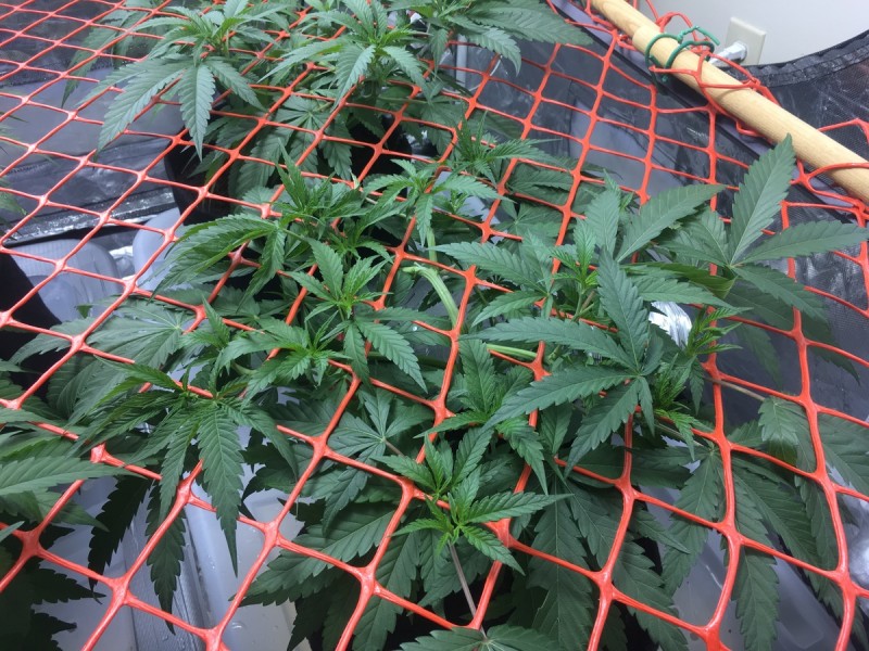 A7743977-CBED-4848-9F11-5212501919AD