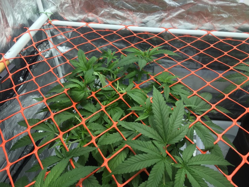 E8A66576-2DC5-49E8-8434-FDB2919B8ED7