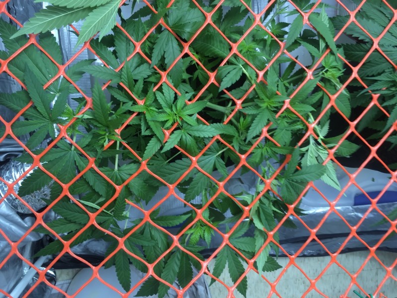 A27B23A0-C74F-4971-9014-1B6E7512377D