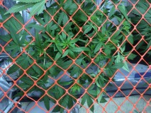 A27B23A0-C74F-4971-9014-1B6E7512377D