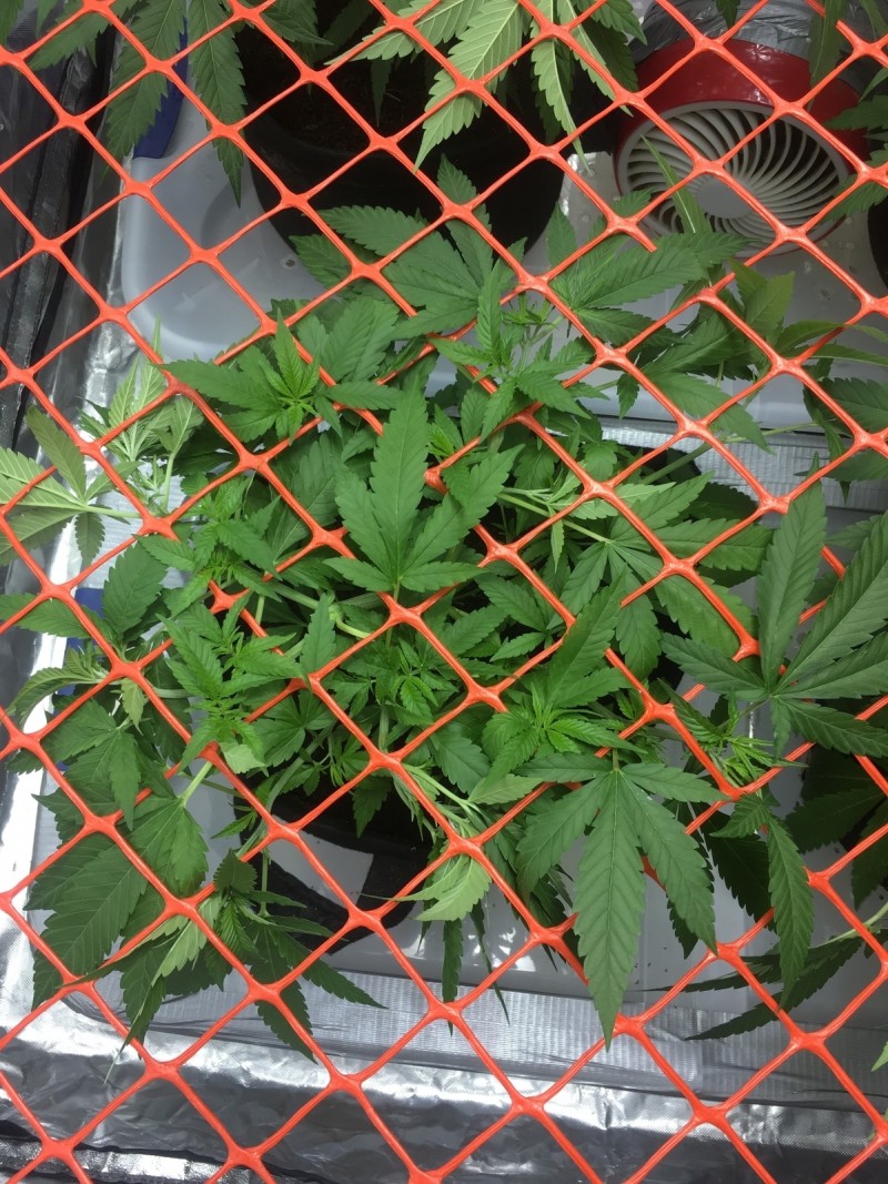 6218CFD6-6D46-42DA-AD01-6826367DAD53