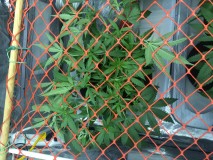 7A7D5F57-AFFC-497D-B14D-1660763989B8