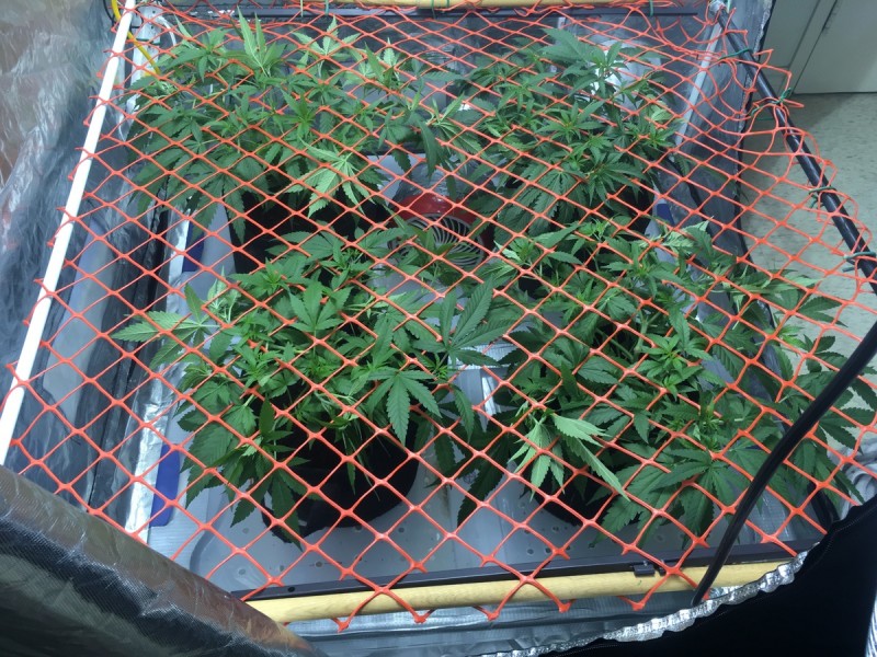 F85C2E0A-6B6F-466D-9B17-C68427B9D310