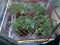 F85C2E0A-6B6F-466D-9B17-C68427B9D310