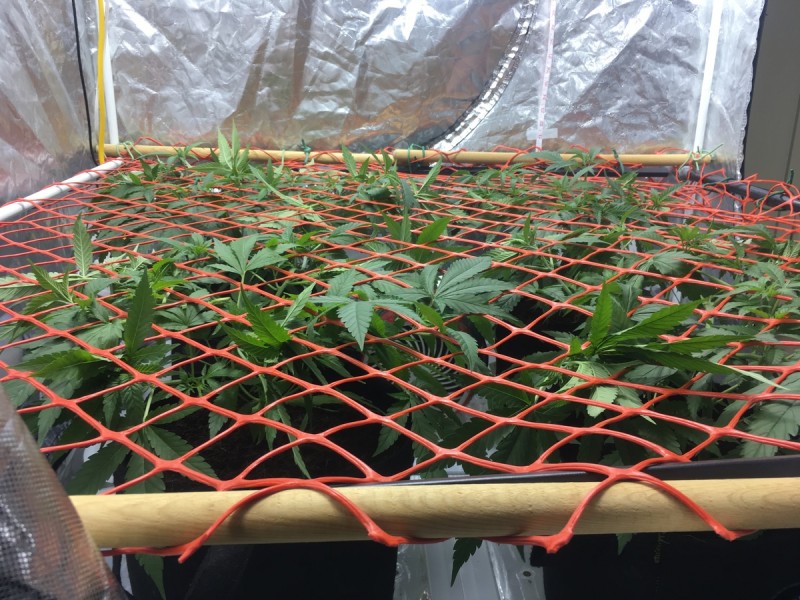 28DACE4D-6C14-40A5-9EE0-B10EA293AE44