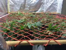 28DACE4D-6C14-40A5-9EE0-B10EA293AE44