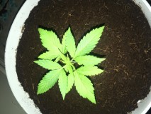 8B3CD674-9006-425D-976D-D08DB83F2CA9