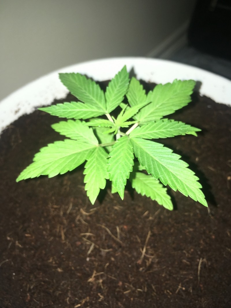 E7D86E80-6D31-46FC-8658-CA83D3BB9D33