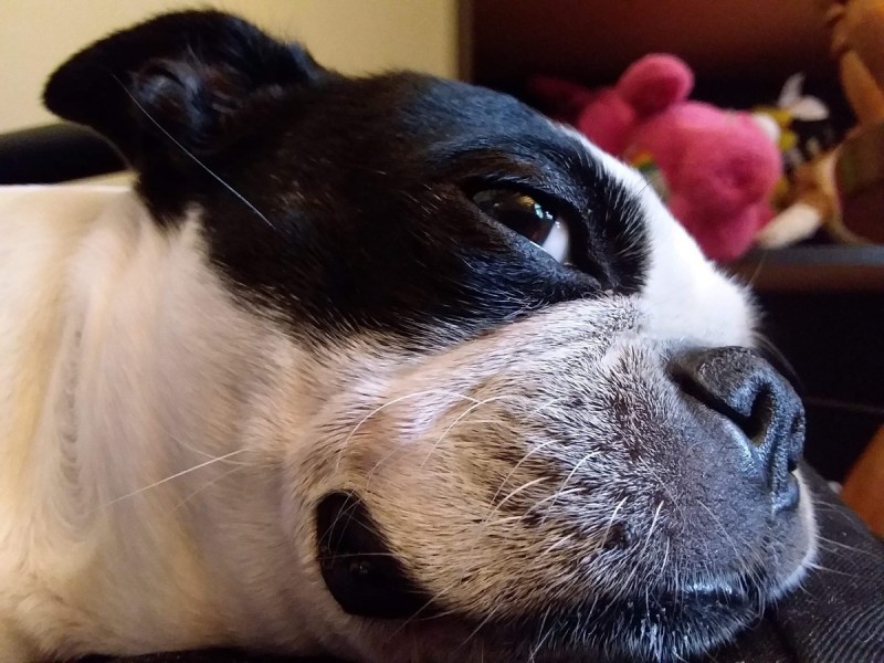 20B8883C-5EB8-438C-8639-8ABEAD099CB5