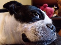 20B8883C-5EB8-438C-8639-8ABEAD099CB5