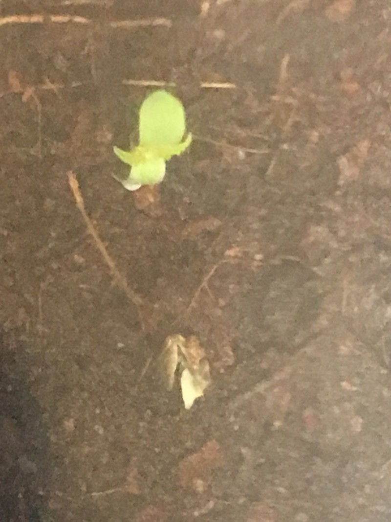 5959C5F4-310D-4404-A2C8-1431E19032F2