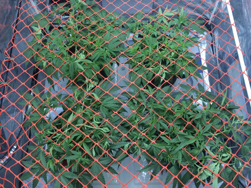 B046CC93-6624-41EF-8038-233F4E787EB1