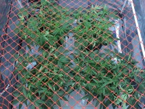 B046CC93-6624-41EF-8038-233F4E787EB1