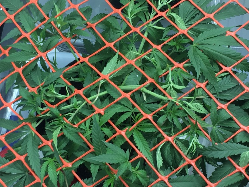 64435B7D-A9FF-4D88-BAAD-DC44C1FD26CF