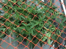 8774762B-E915-4A4B-8DC1-CBA1C51129E3