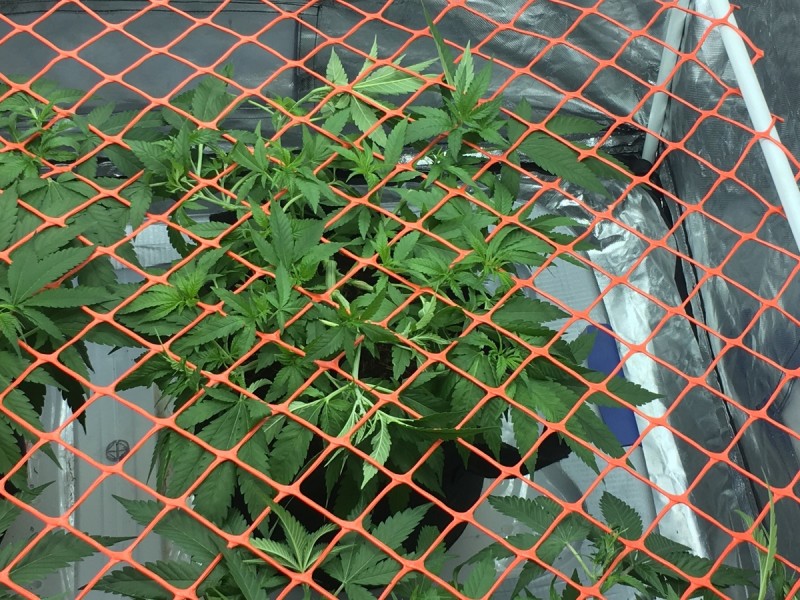 AE376581-7089-4F32-BEF4-437D605A5A5A