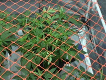 AE376581-7089-4F32-BEF4-437D605A5A5A