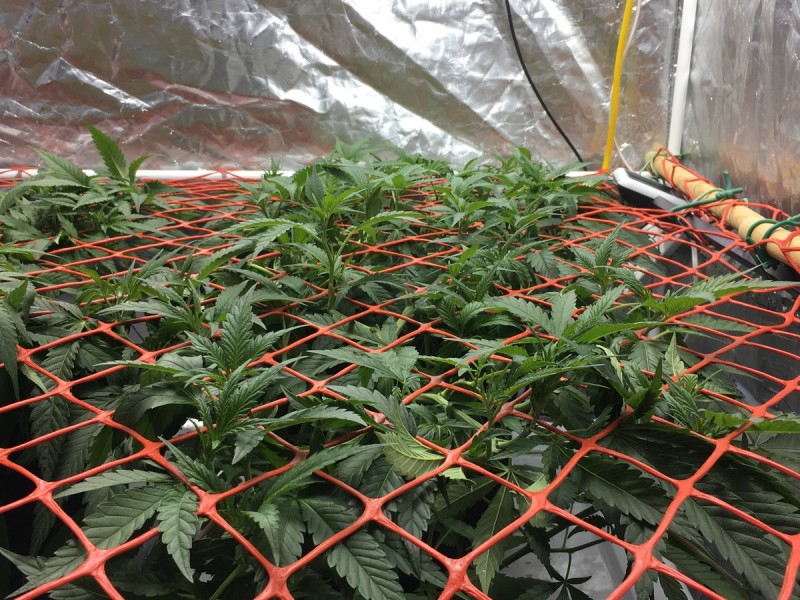 8B6054E8-9167-4EA1-9EC2-224DEFDA2BAD