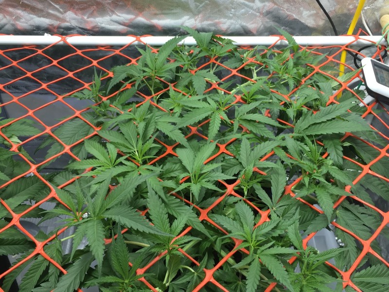 4FF74C24-FA1A-4CE1-AD1E-E2E9FD25043C