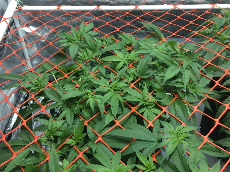 16108B12-8DC9-4750-86F4-EE45B8CA4736