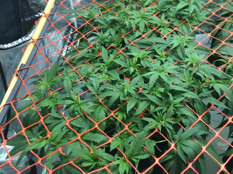 B6B3B090-F8D5-420D-9504-DAFB330CBD6B