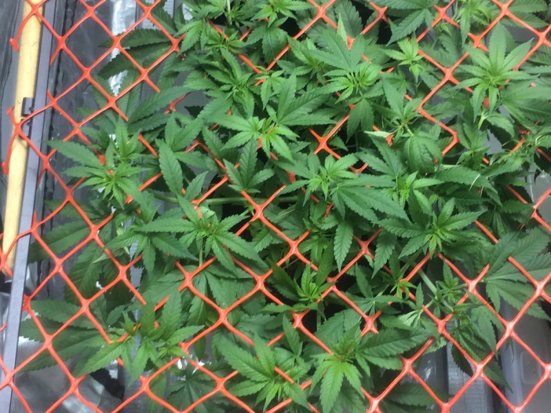 3F2C7FDB-D5FD-4448-96FC-B53F46BFEF55