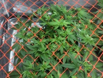 D9071430-7C2E-48A7-BD67-7CDD1055C3F8