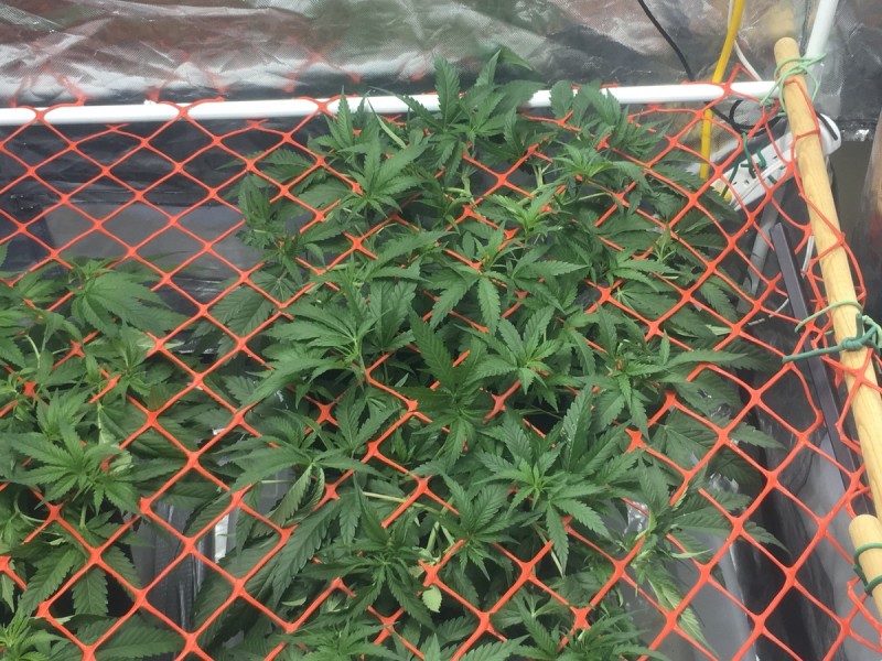 BB147C91-D8B8-48BA-9FE2-0A391C18AFDF